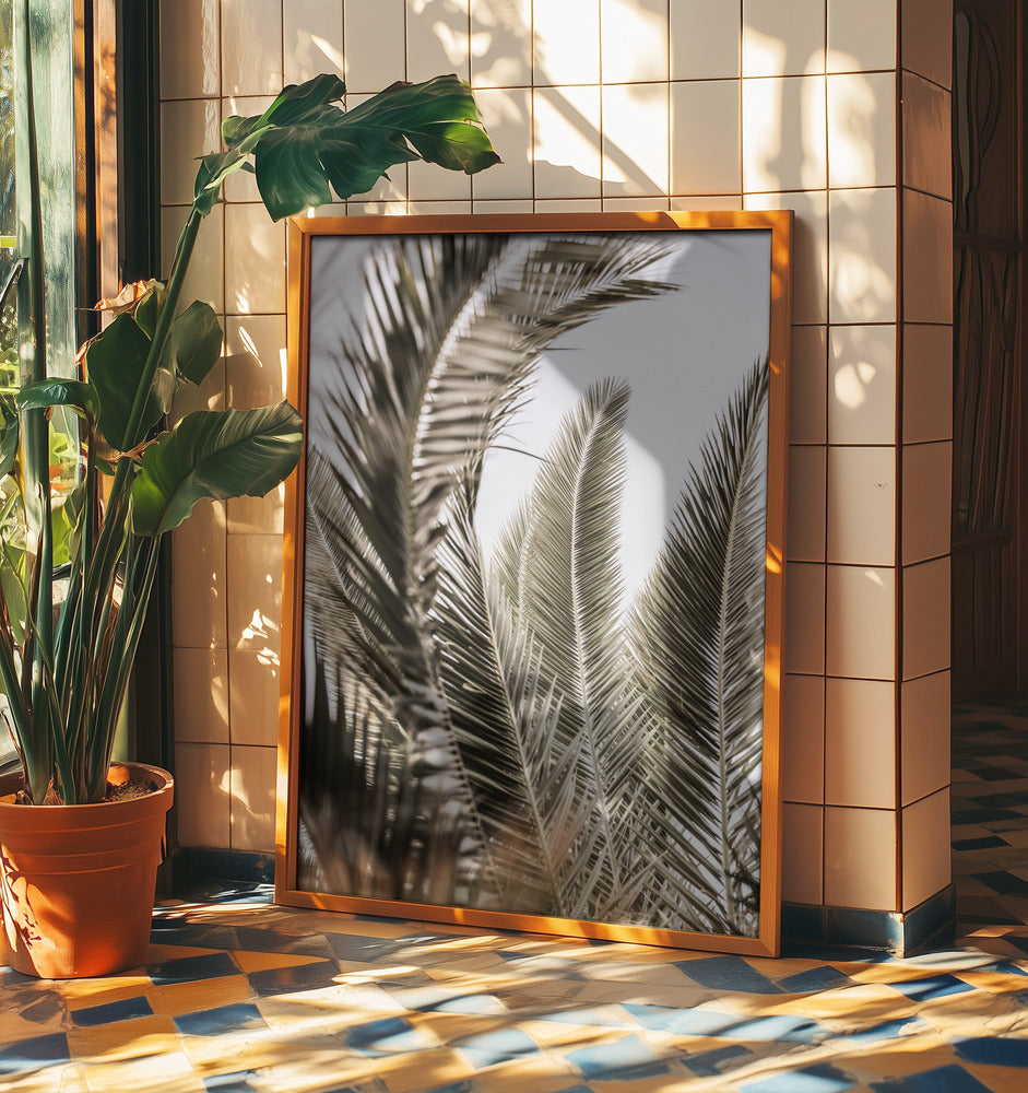 Palmengeflüster | Poster