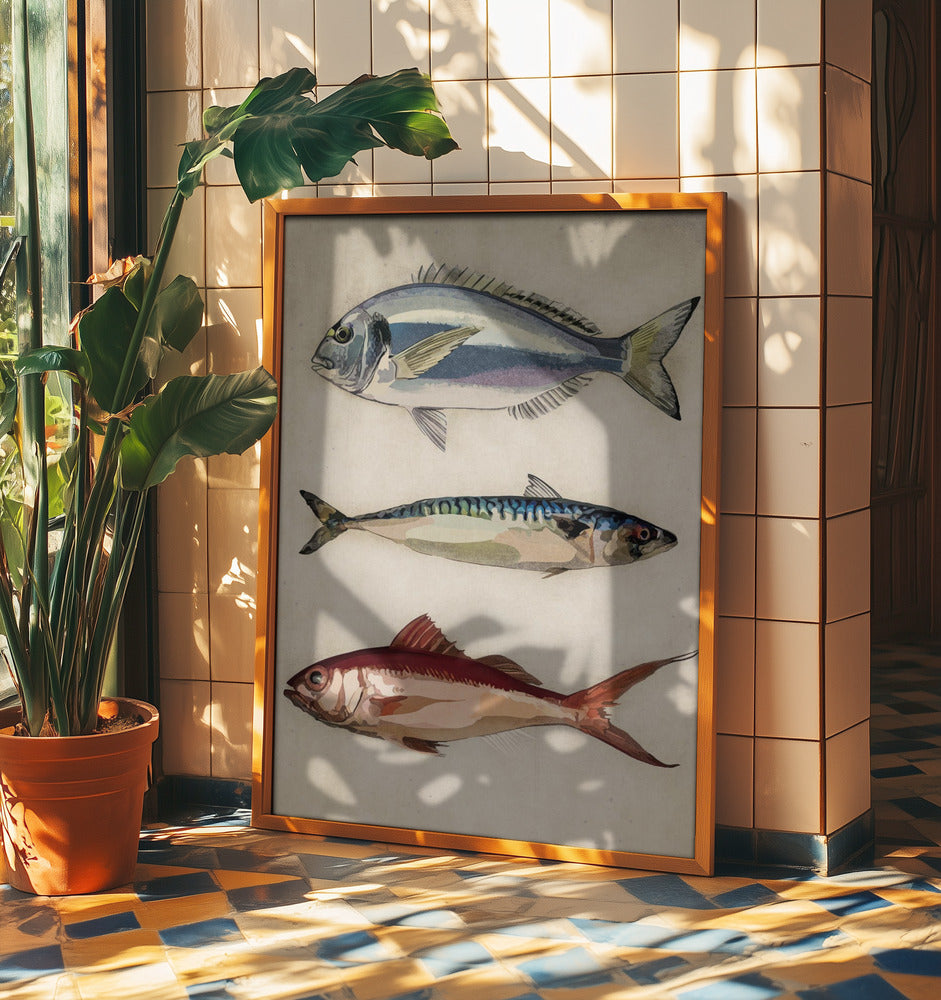 01 Deniz Baliklari Copy | Affisch