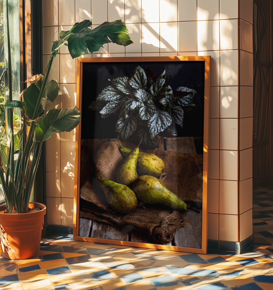 päärynät | Julisteet - Taidevedokset