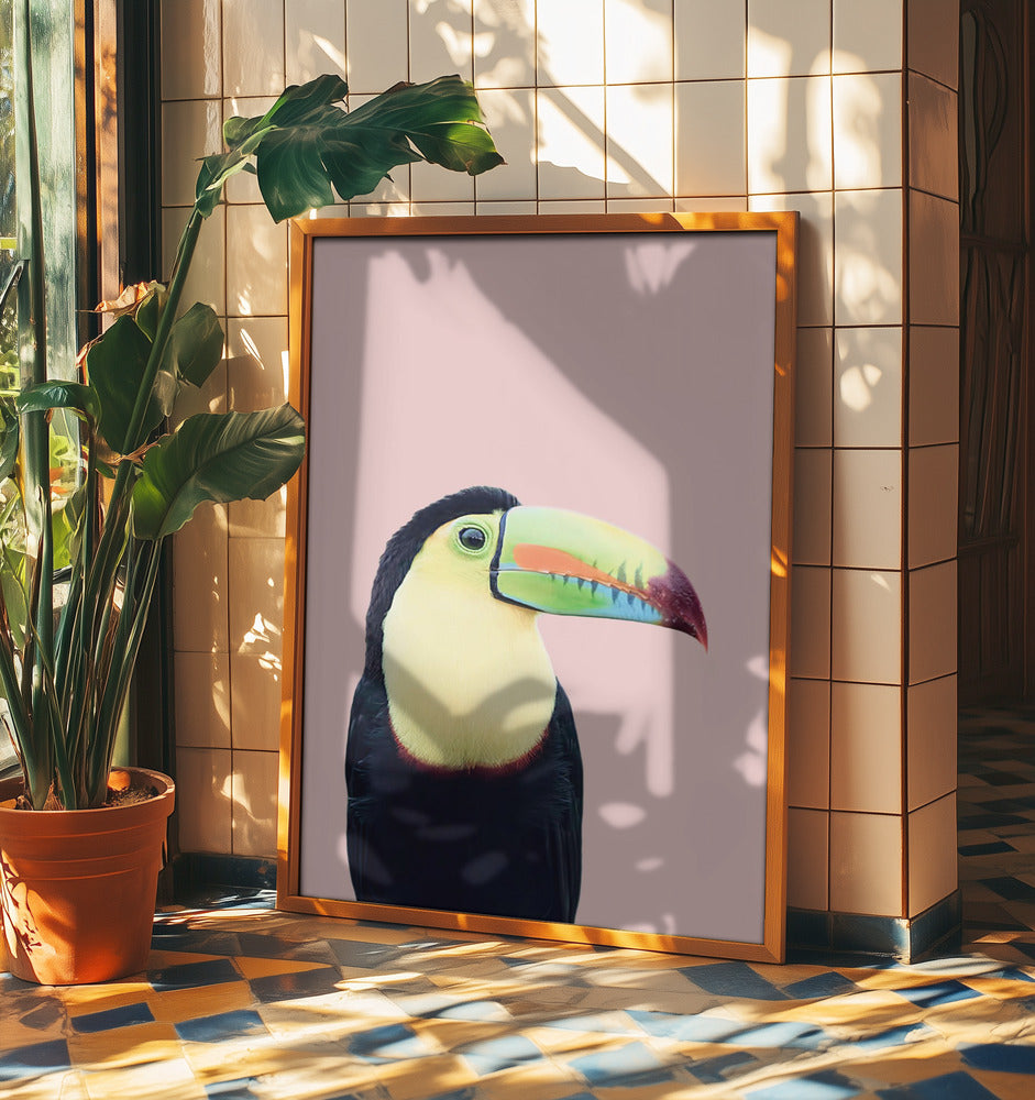 Toucan on Pink | Poster