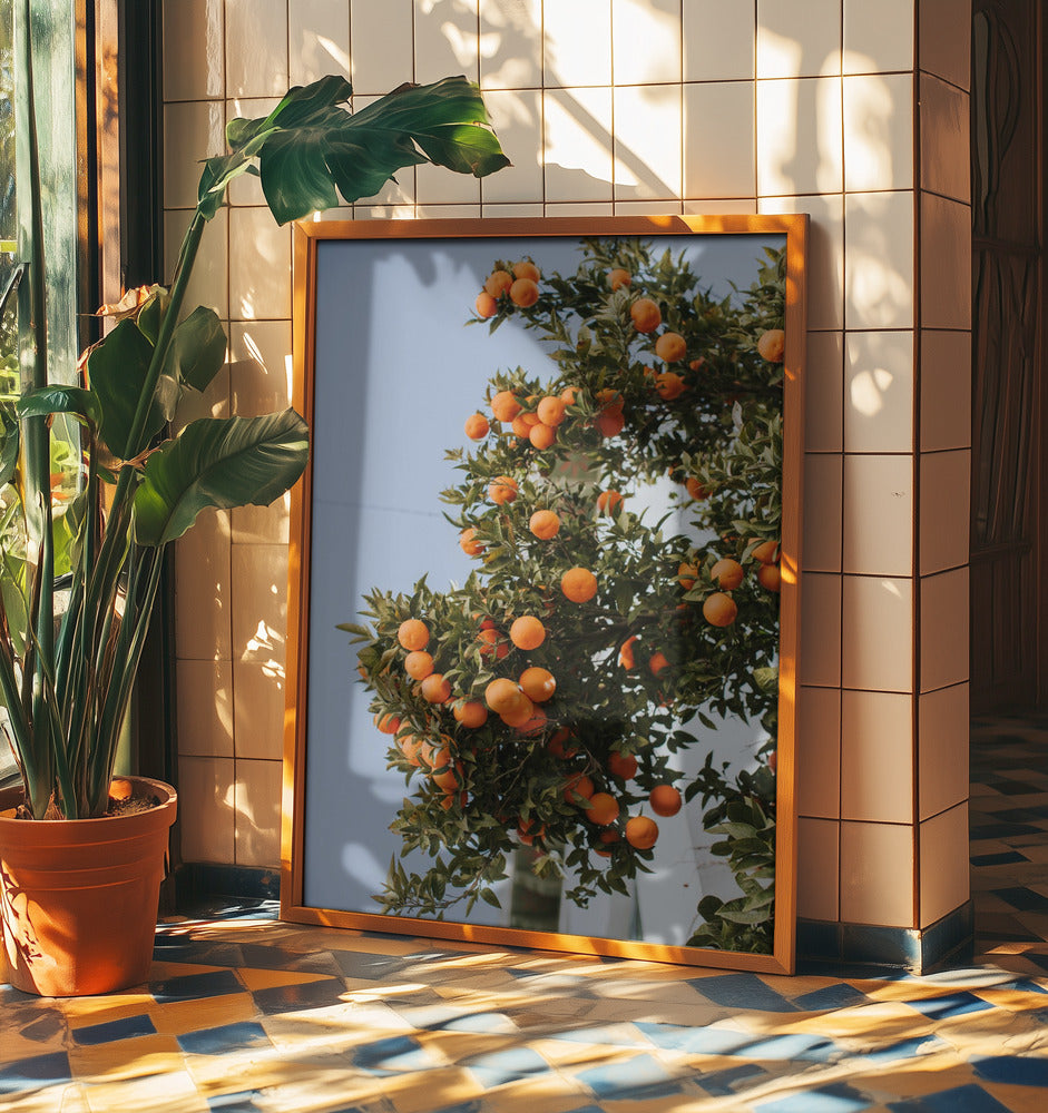 Orangen in Sevilla | Poster