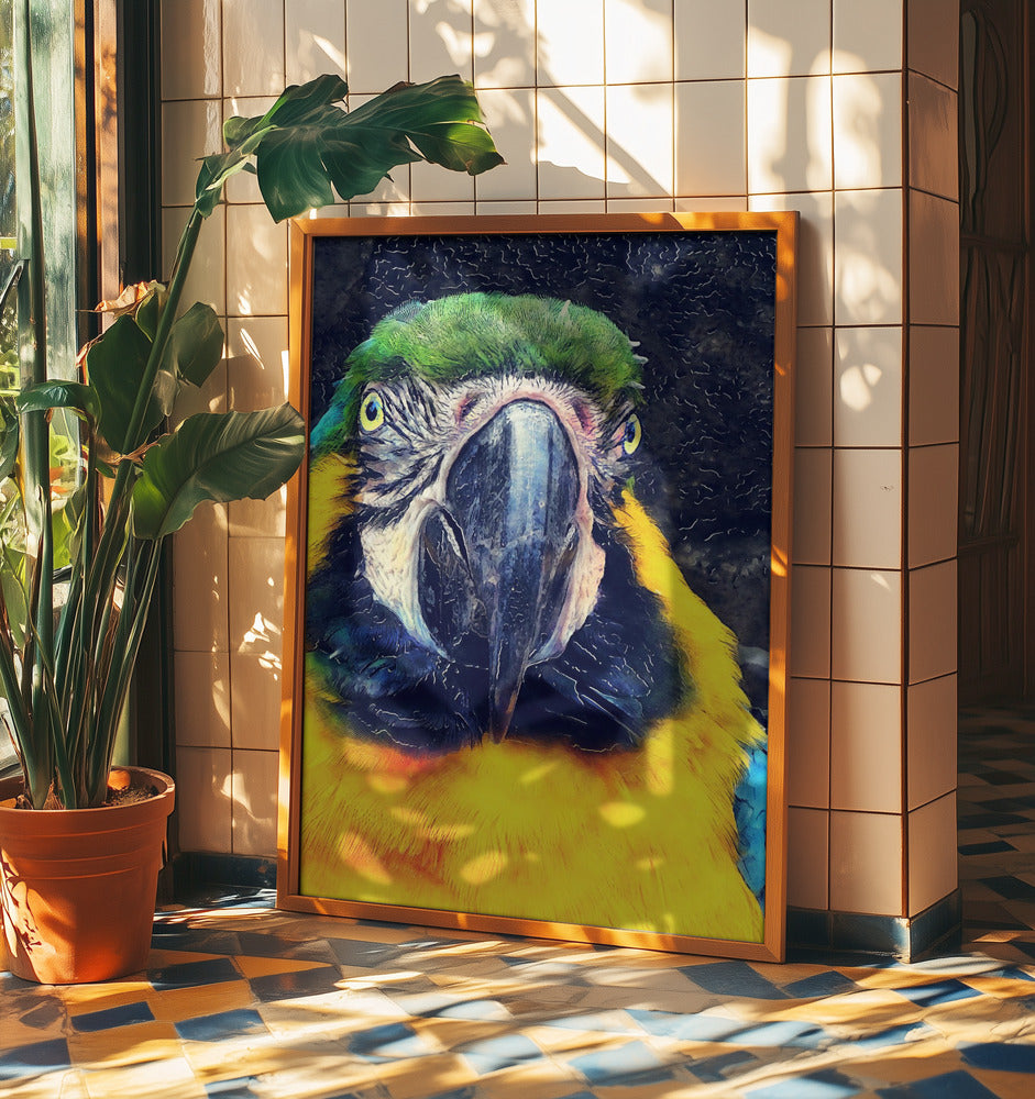 Tiere Papagei Aquarell Tierkunst | Poster