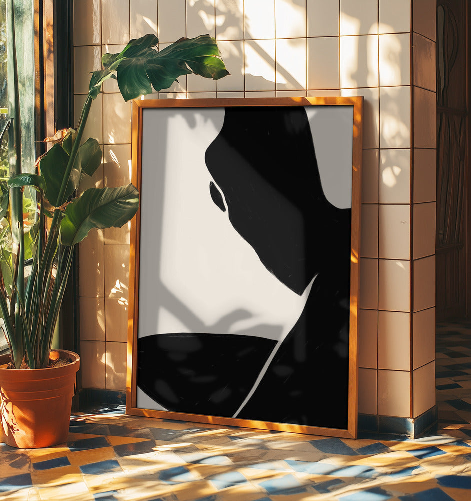 Shadowed Contours | Poster