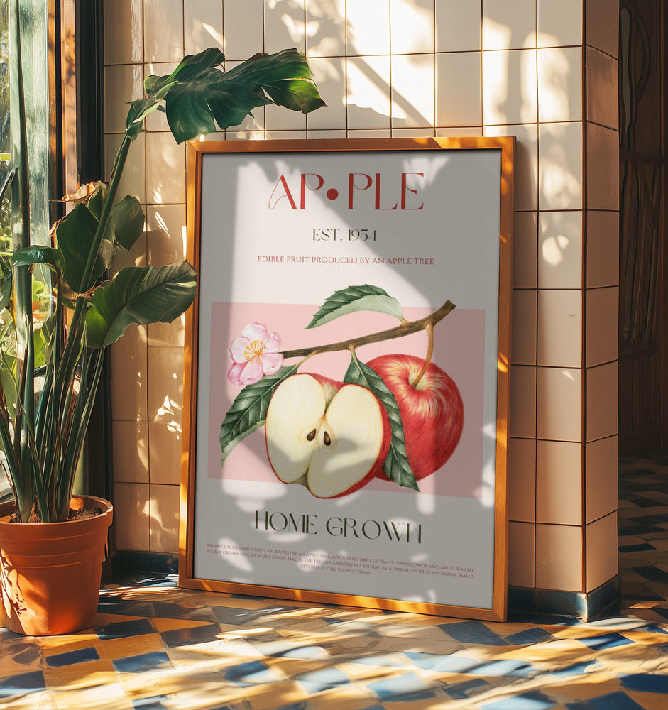 Geerntete Äpfel | Poster