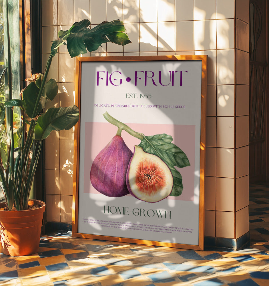 Vintage Feigengenuss | Poster