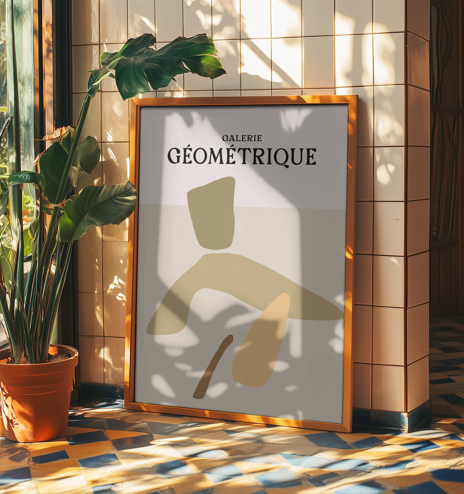 Shapes of Serenity | Poster