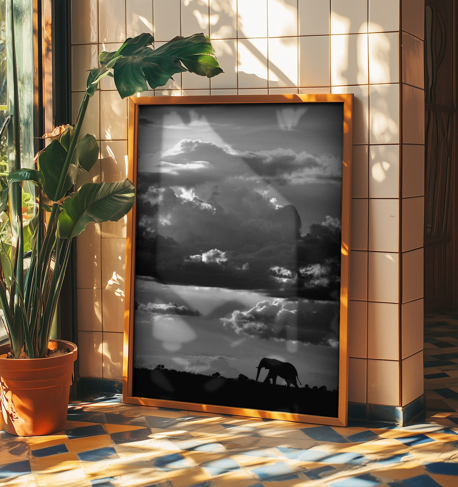 He walks under an African Sky | Poster