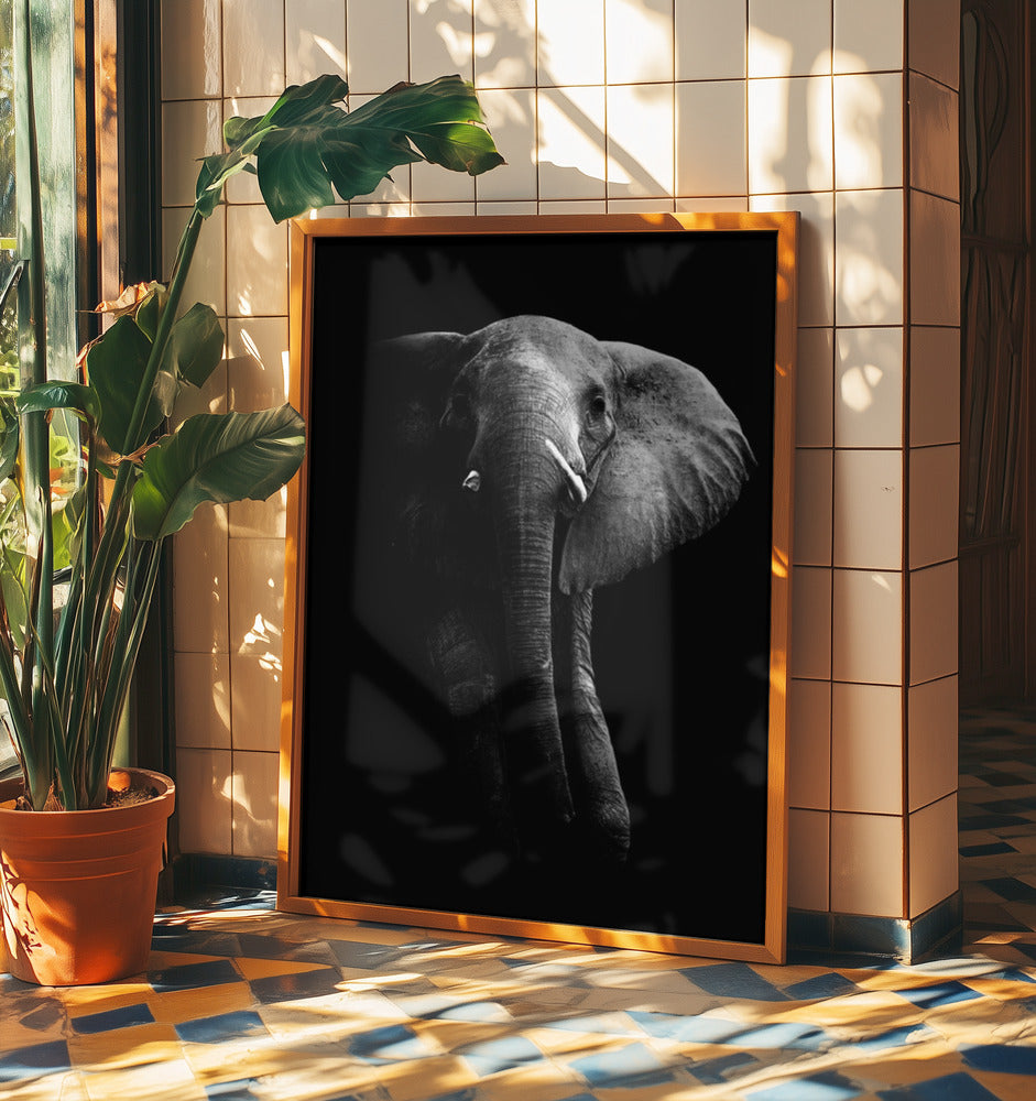 Elephant! | Poster