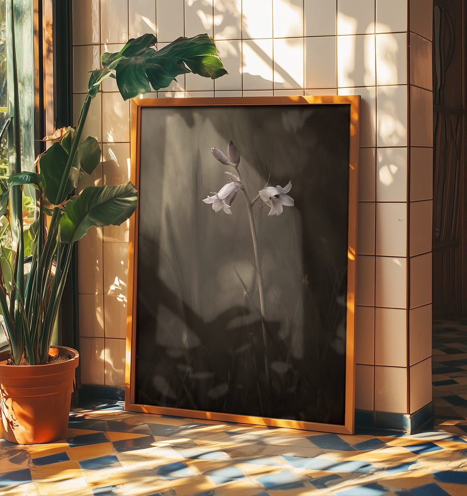 A small flower on the ground | Poster