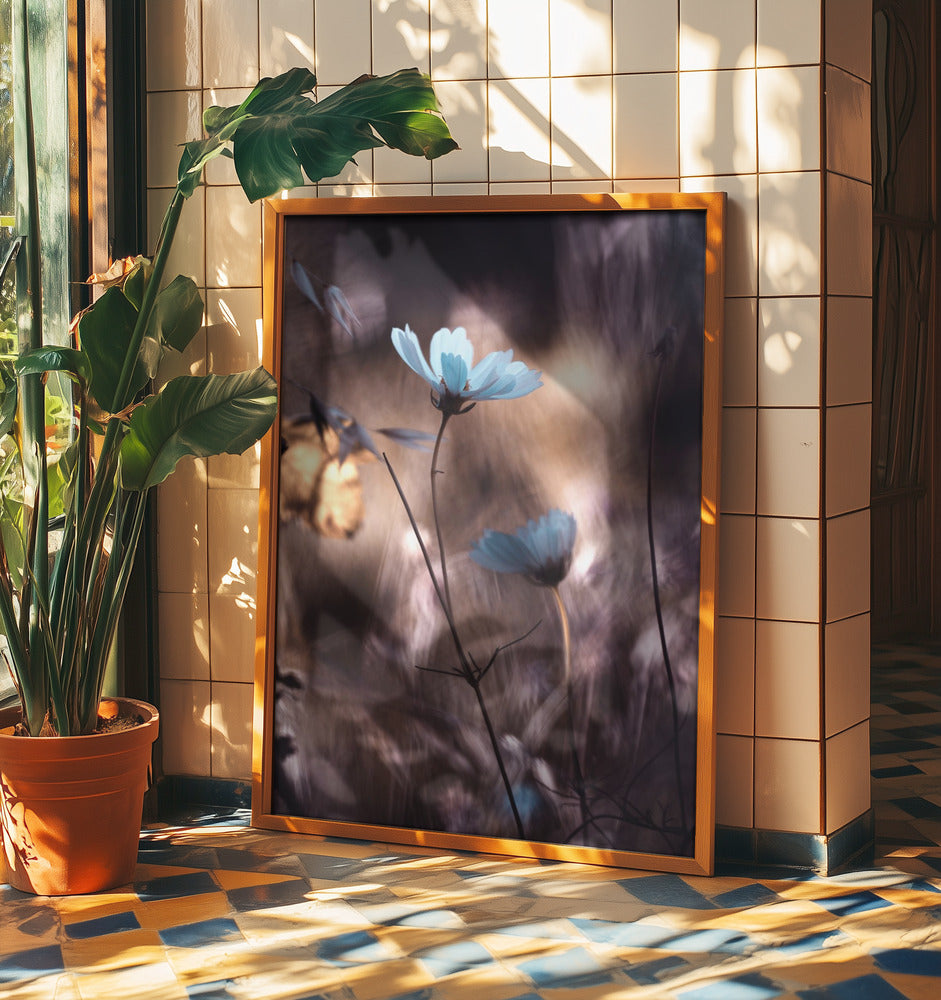 Lueur d'Automne | Poster