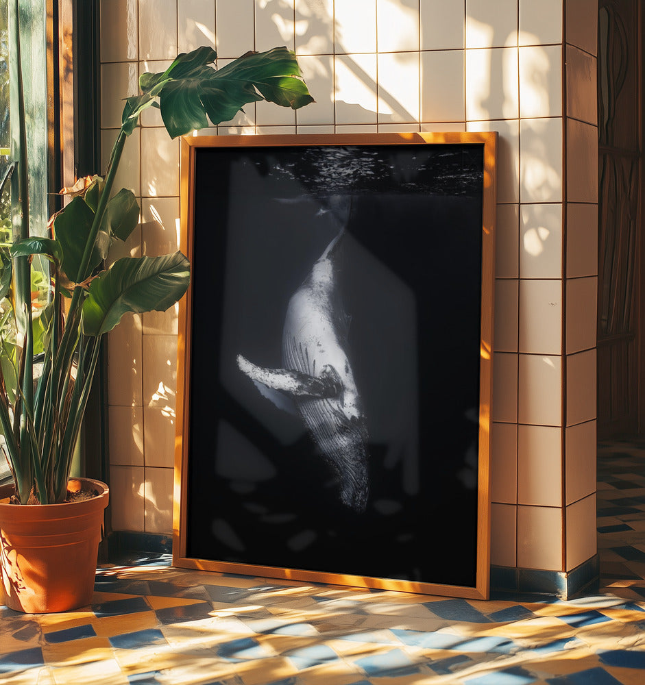 Black Whale | Poster