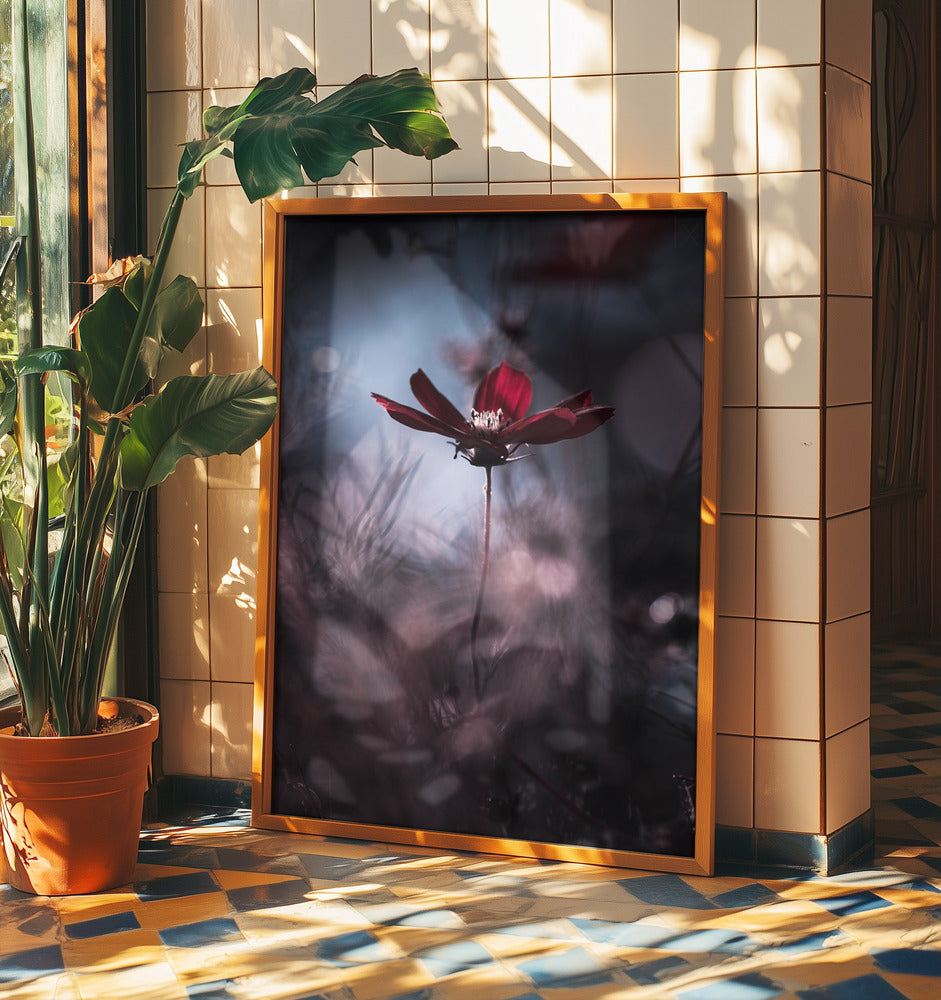 Tenue de soirée | Poster