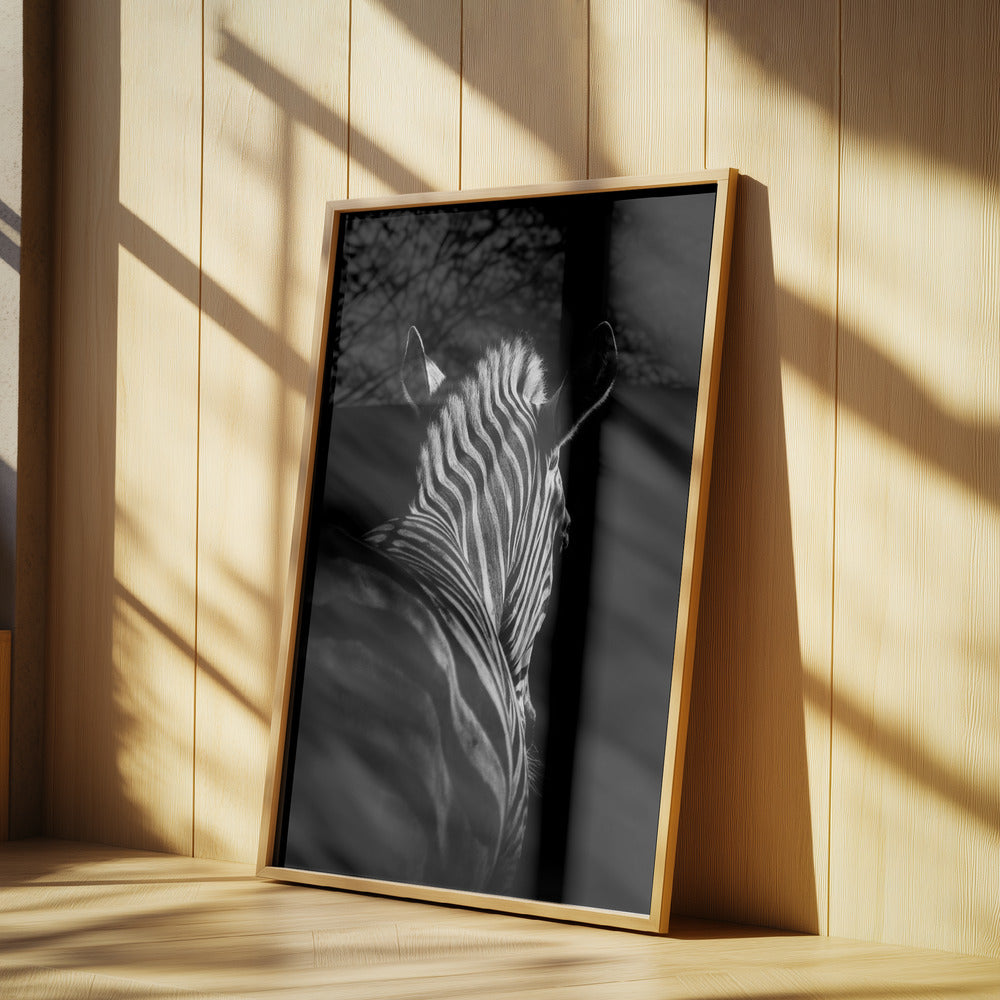Stepping Down #6 | Poster