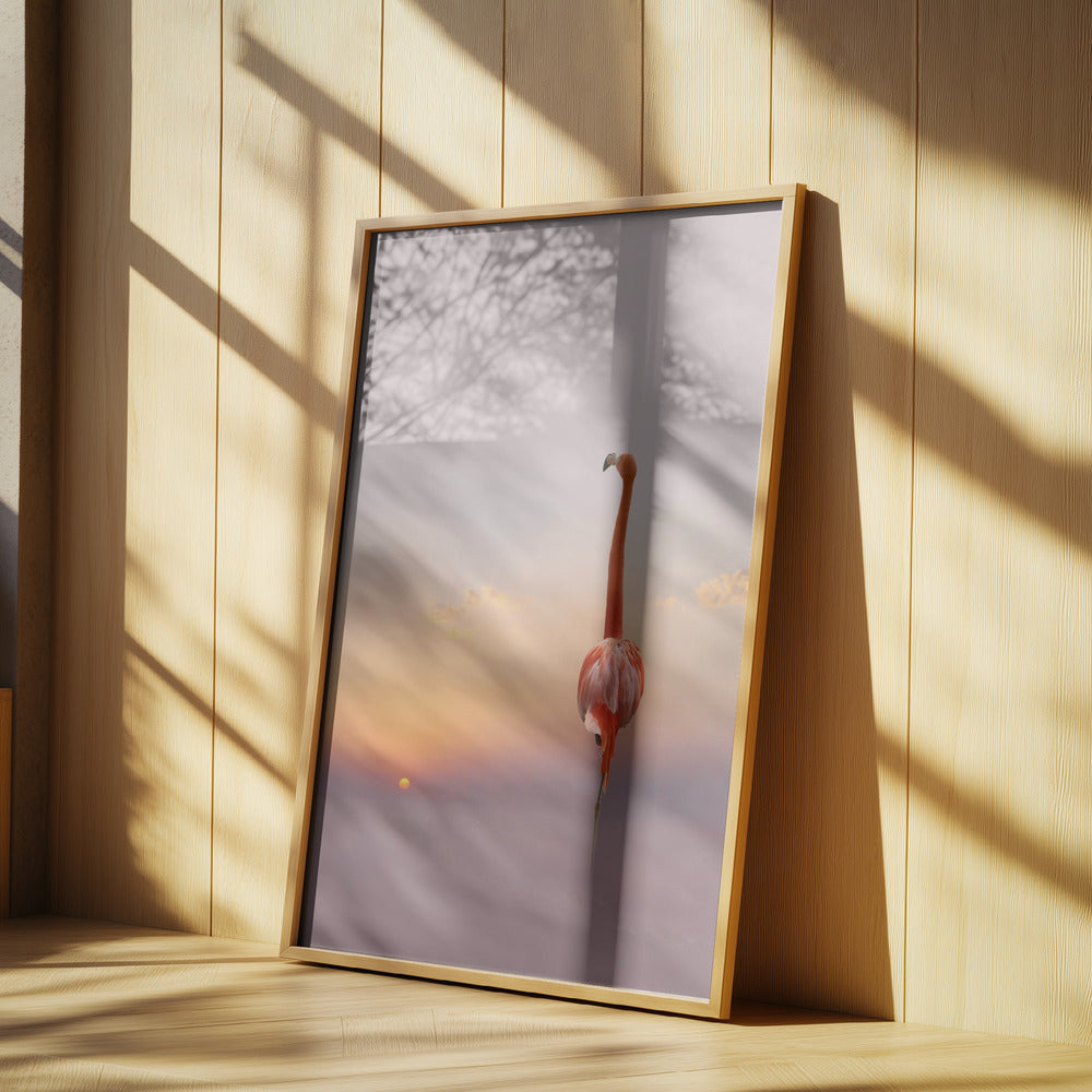 sunset ... | Poster