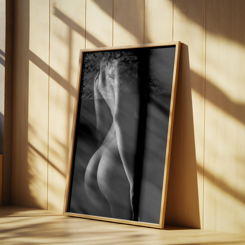 Freya Gallows Nr. 0858 | Poster