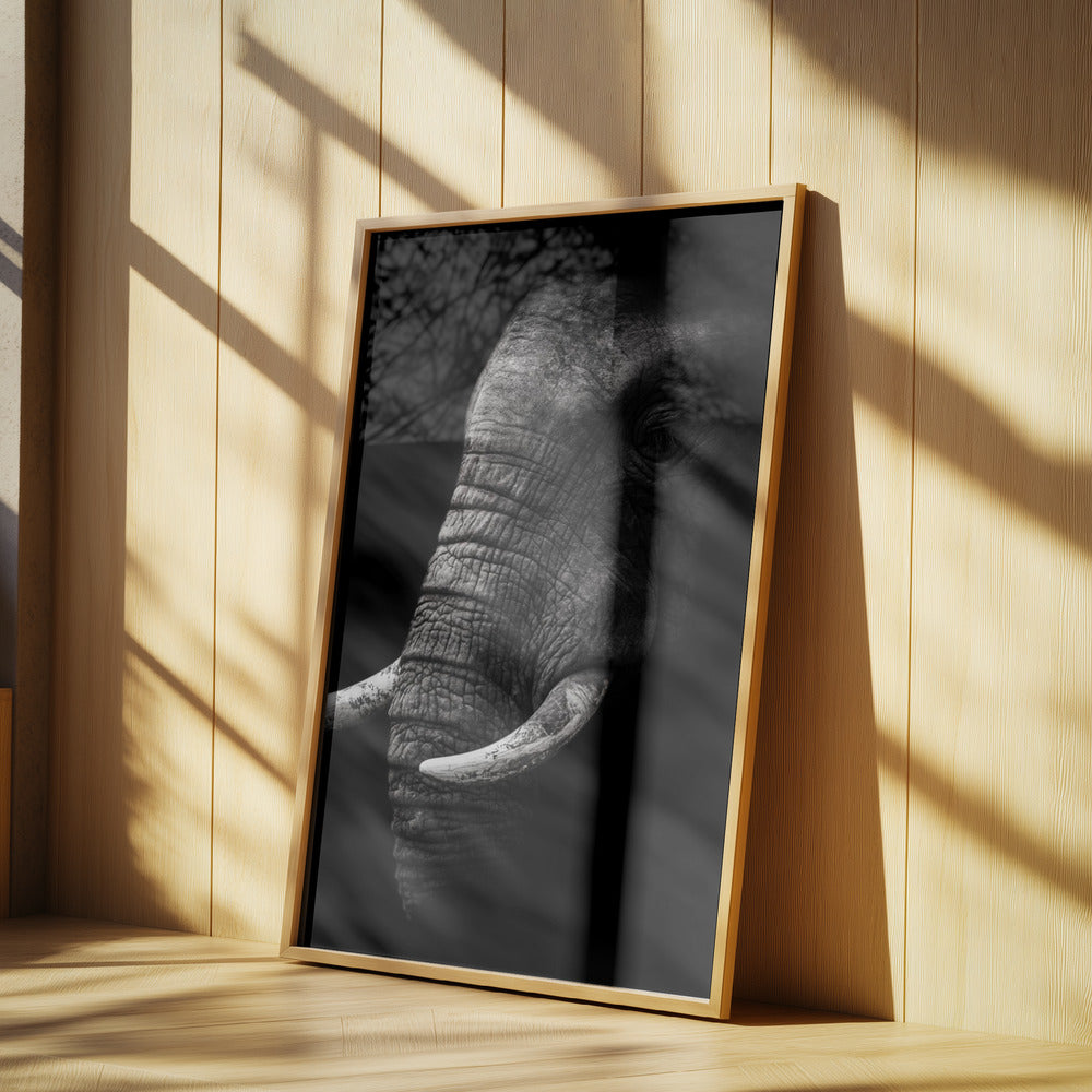 Portrait | Poster