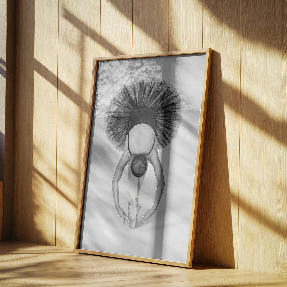 Ballet Technique | Poster