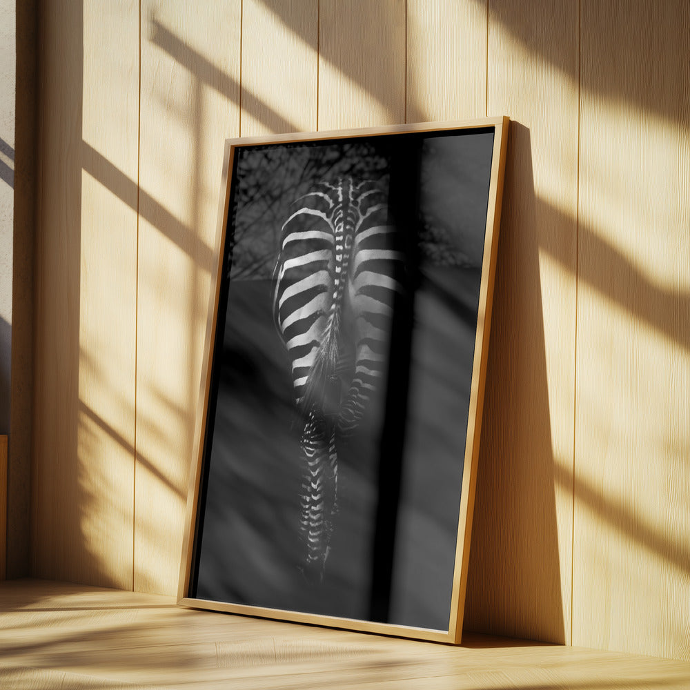 Untitled | Poster