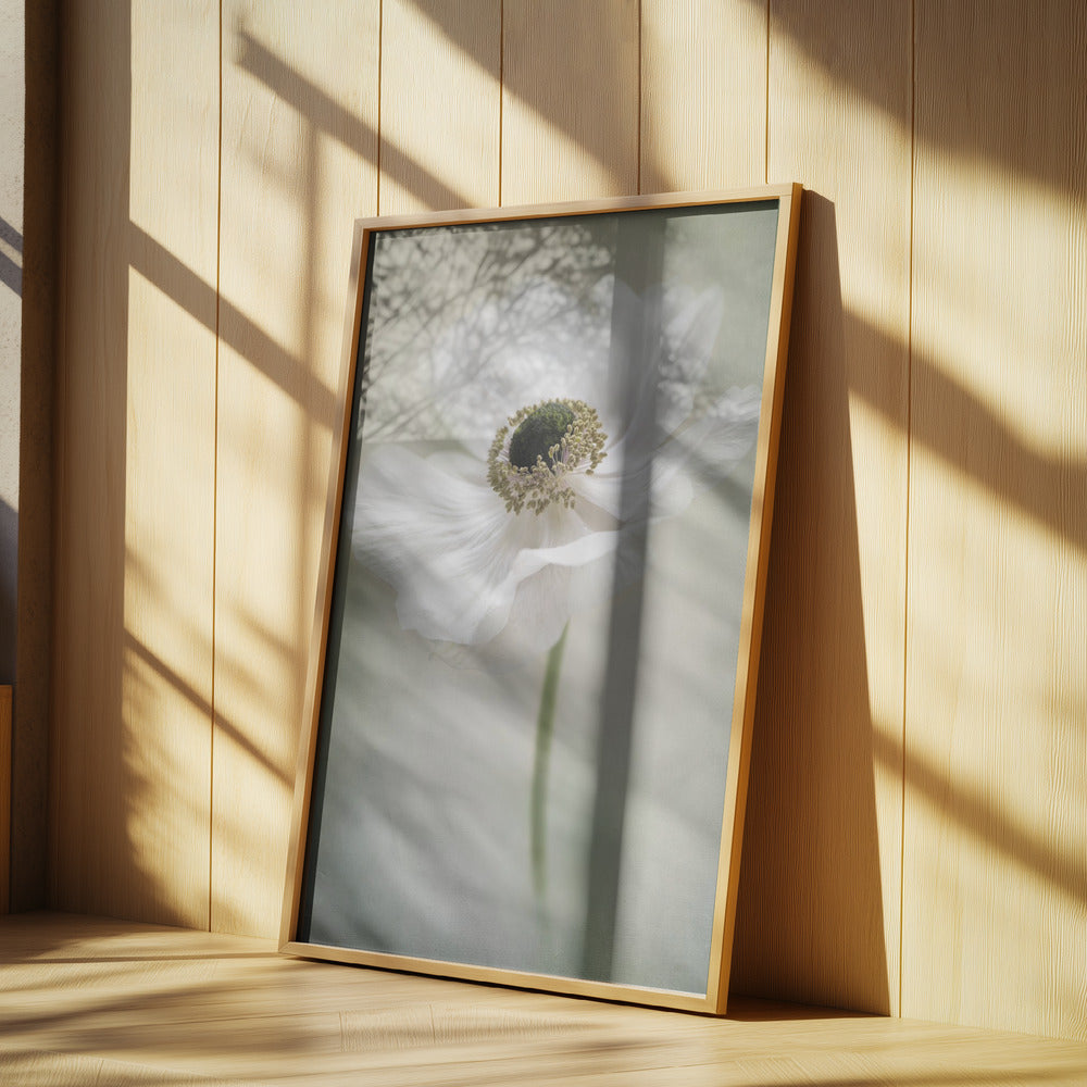 Single White | Poster