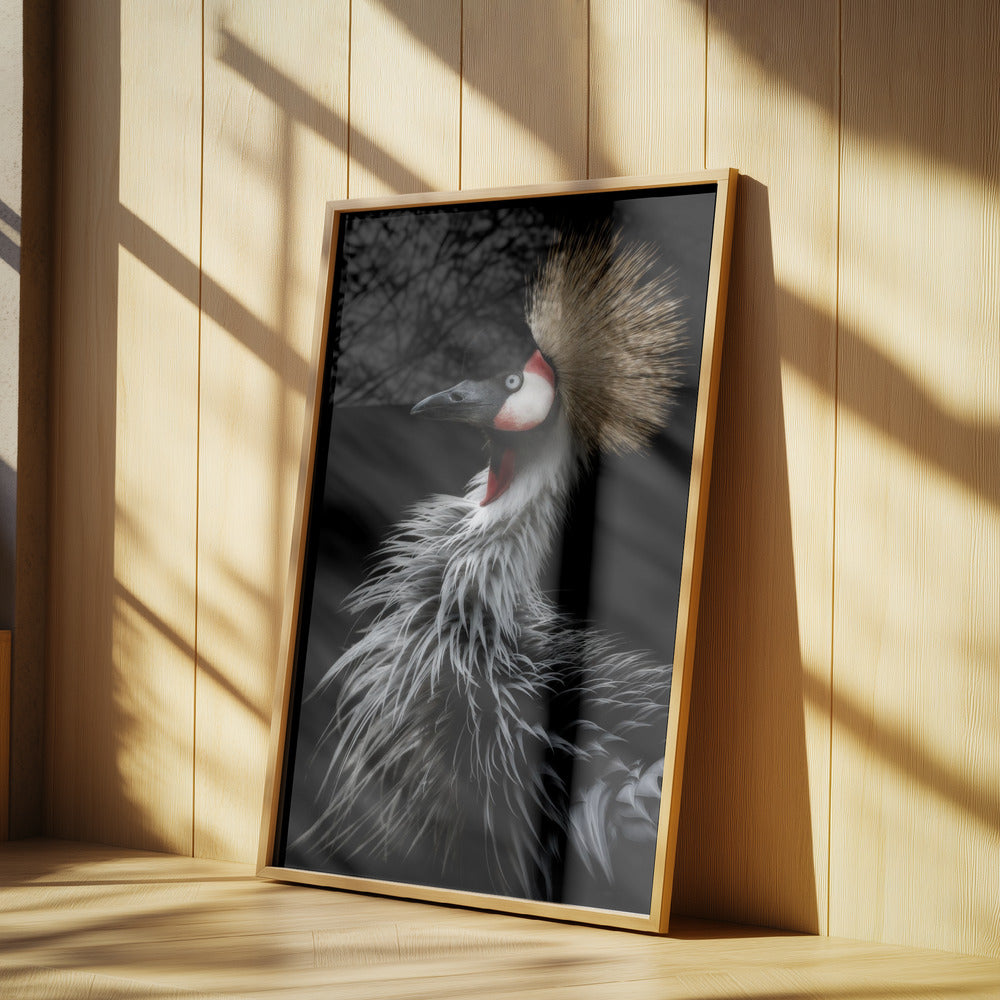 Crowned crane's portrait | Poster