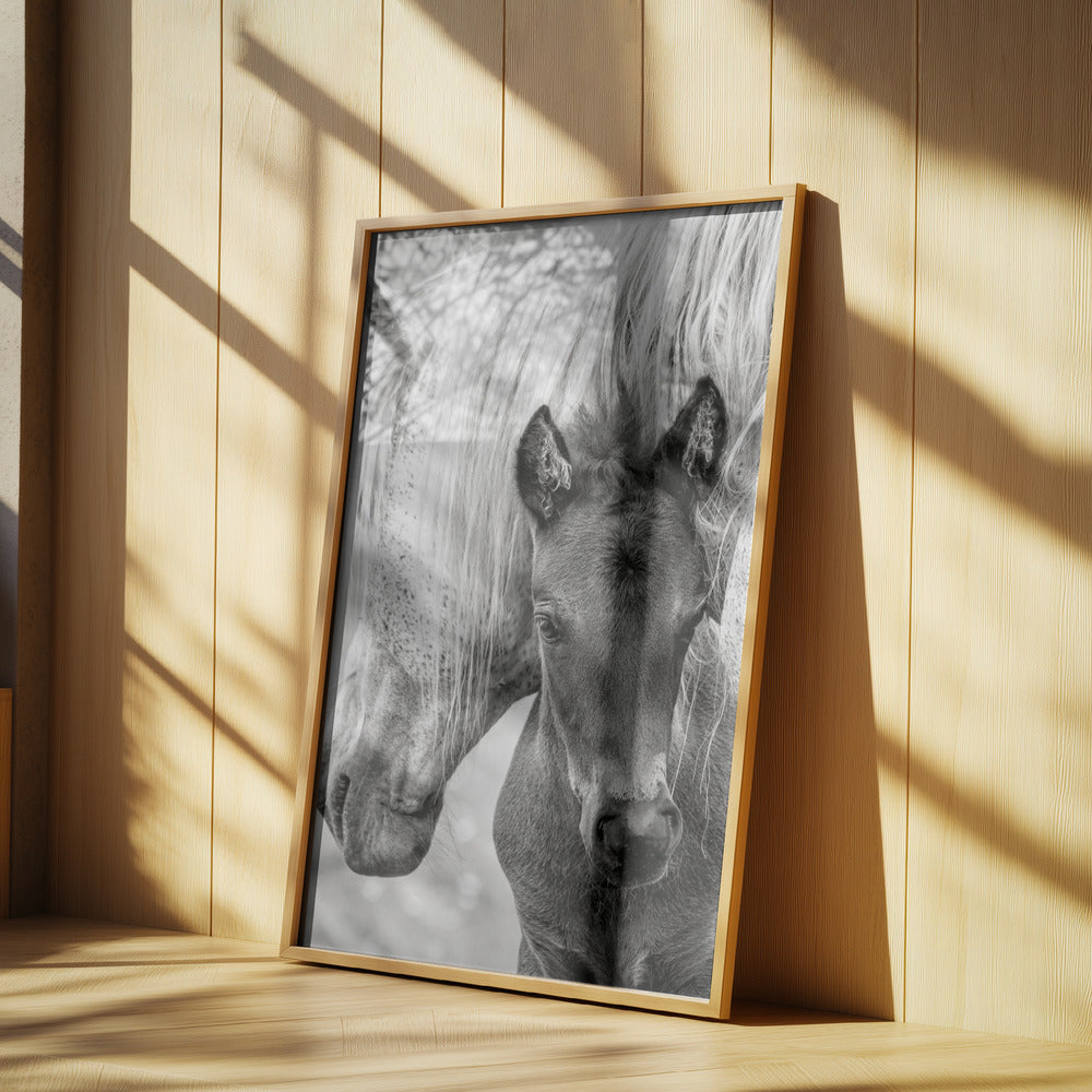 The Foal | Poster