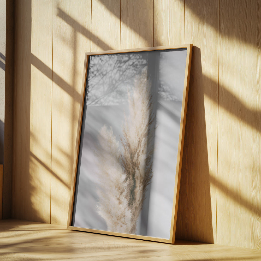 Pampas Grass Grey | Poster