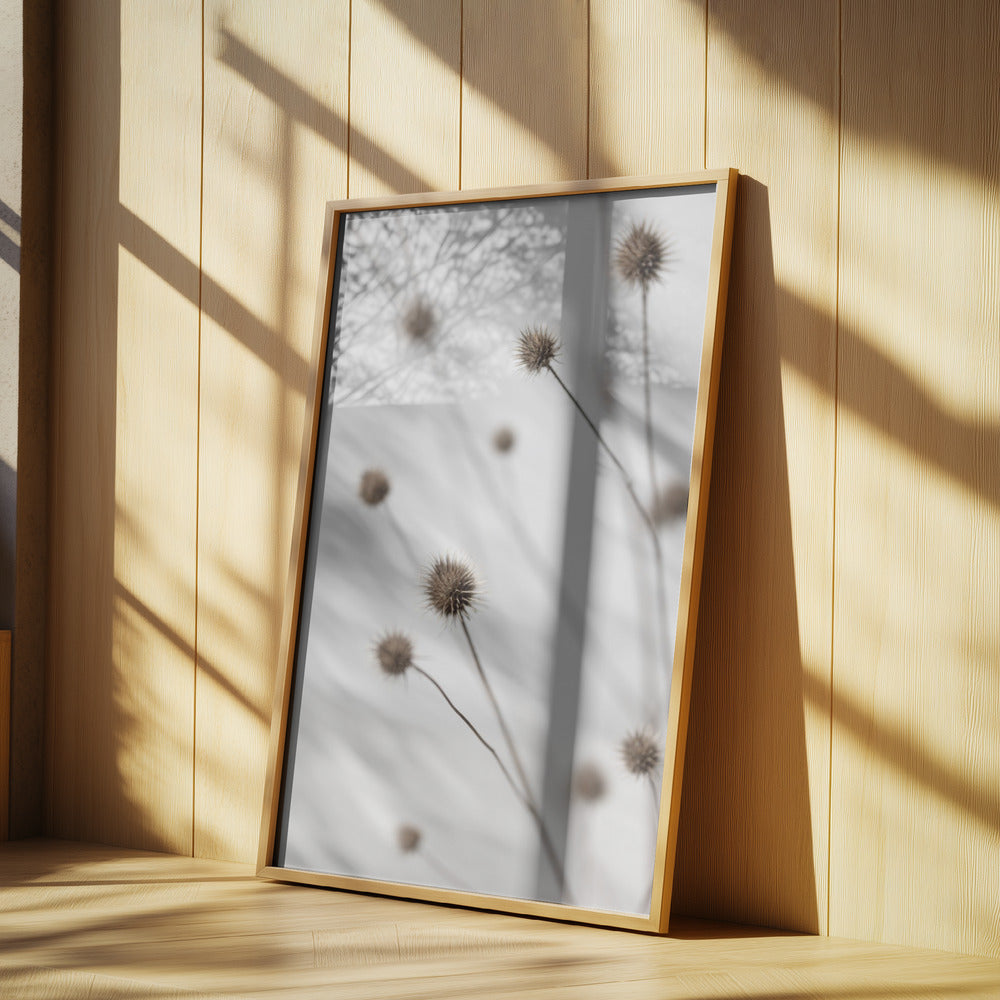 Thistle Grey 06 | Poster
