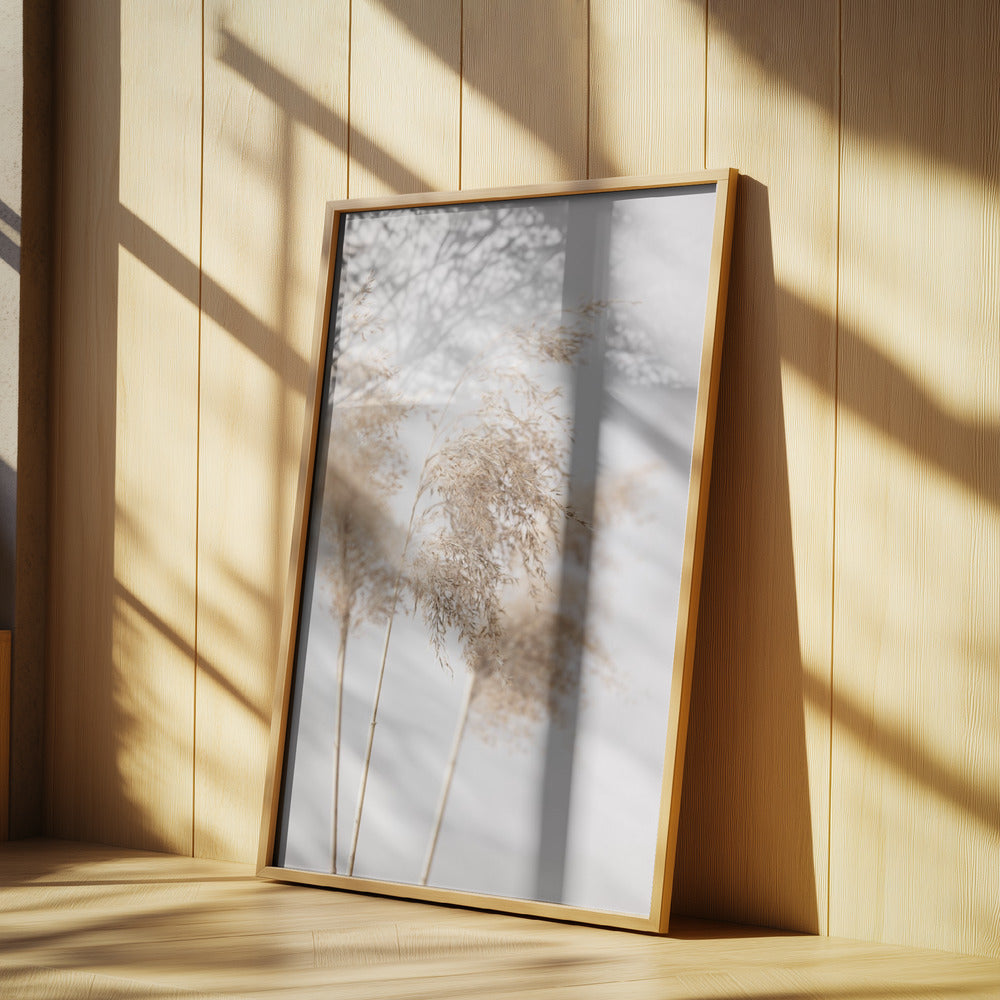 Reed Grass Grey 09 | Poster