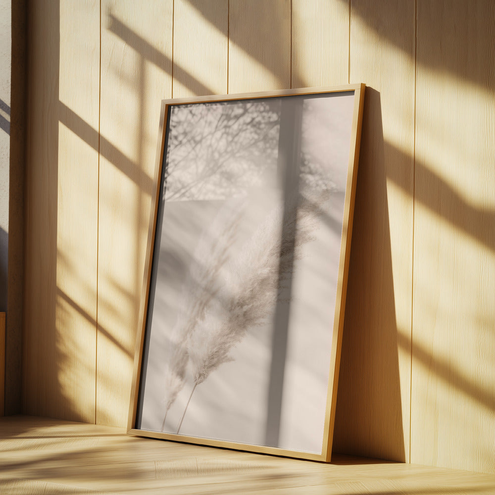 Pampas Grass Begie 15 | Poster