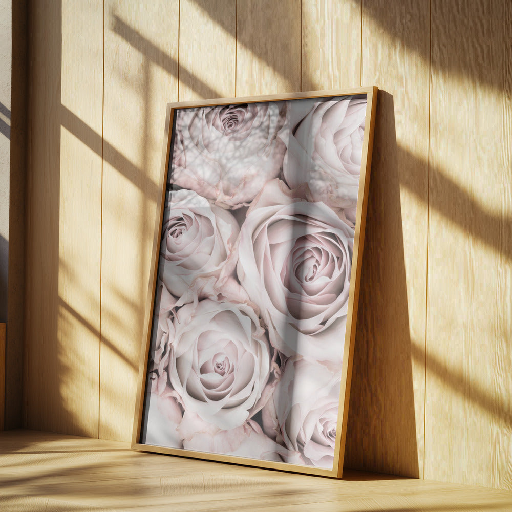 Pink Roses No 01 | Poster