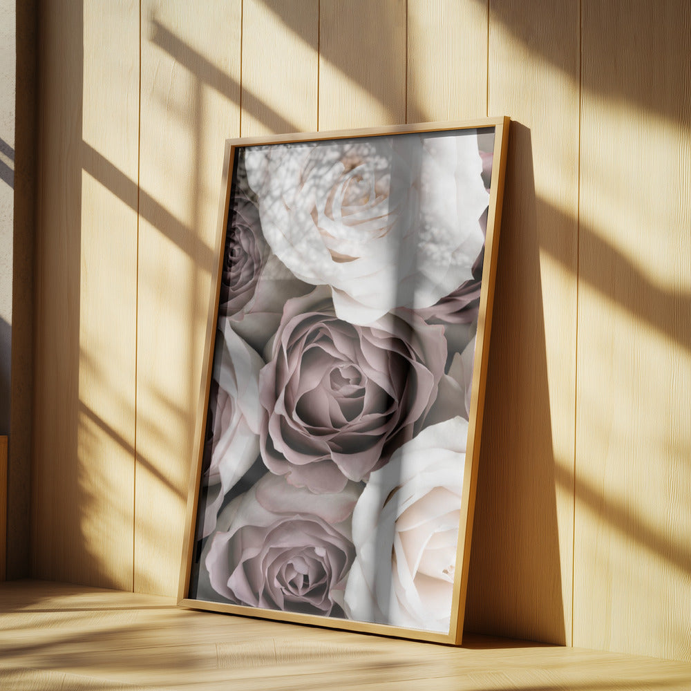 Roses | Poster