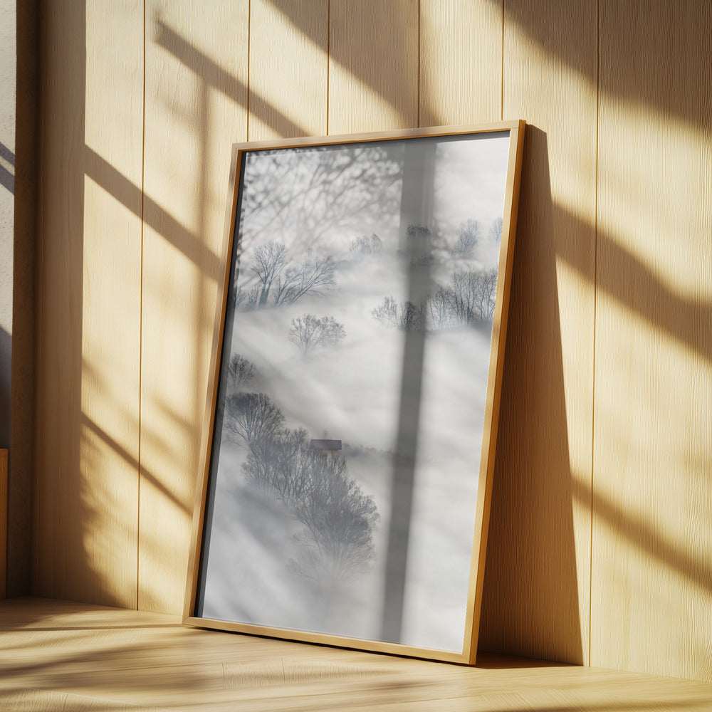 Trees in the fog | Poster