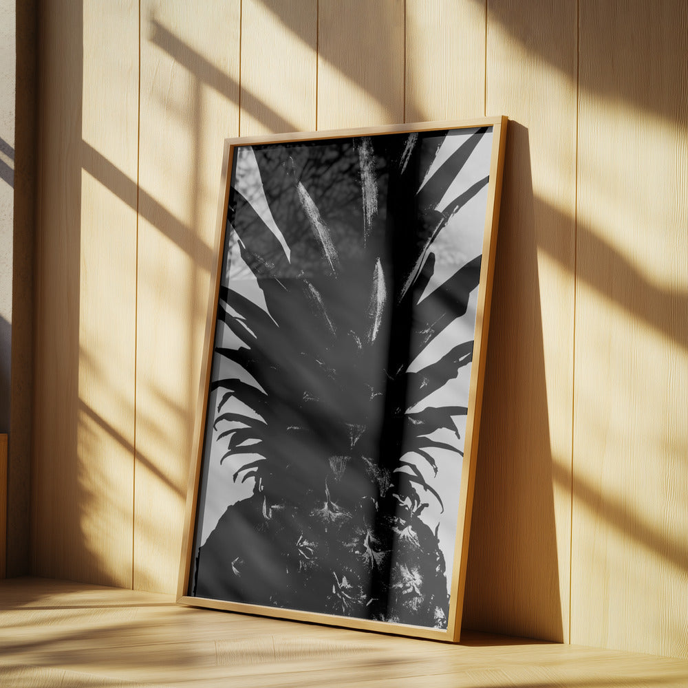 Pineapple bw | Poster