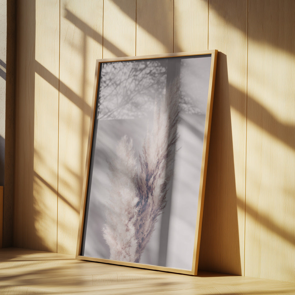 Pampas Grass | Poster