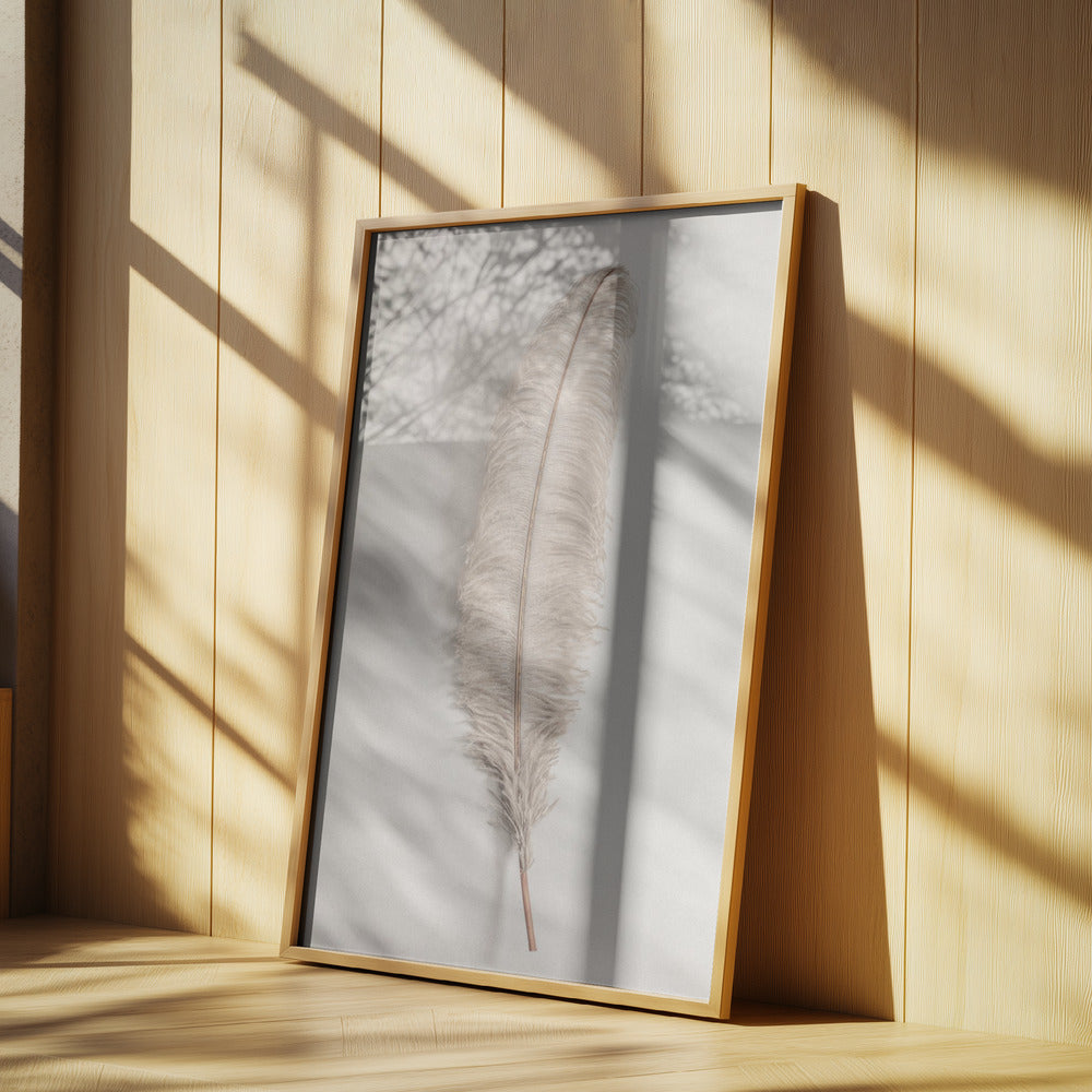 Feather_002 | Poster