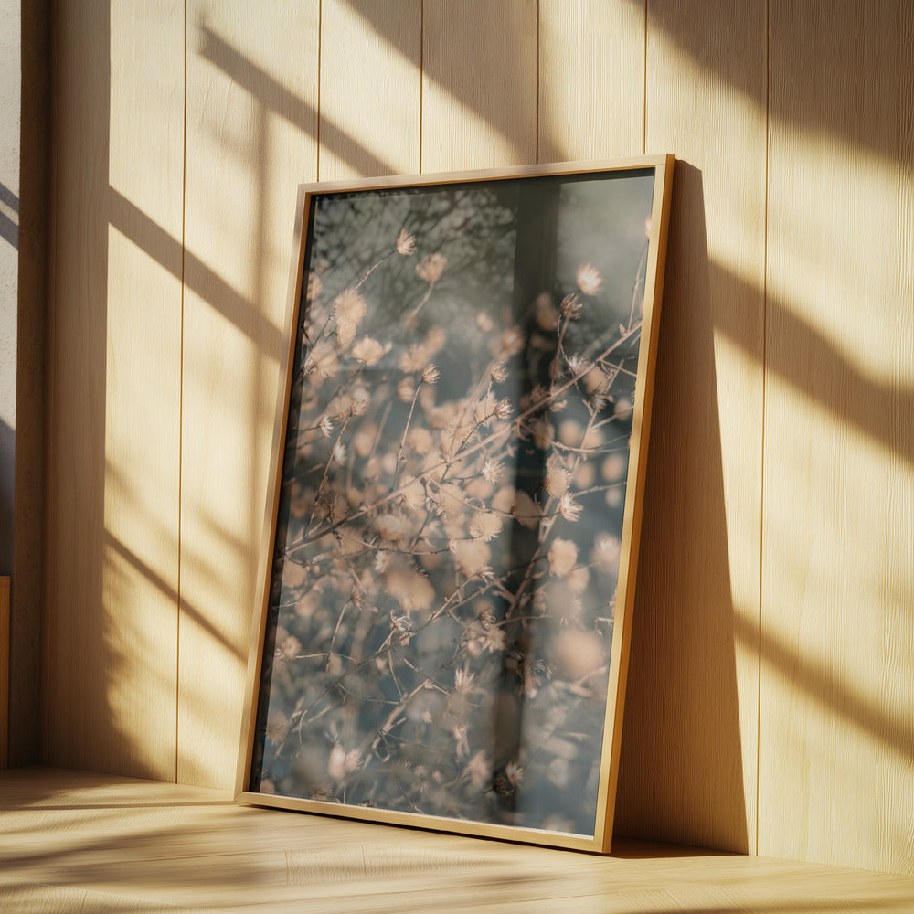 Beach flowers_003 | Poster