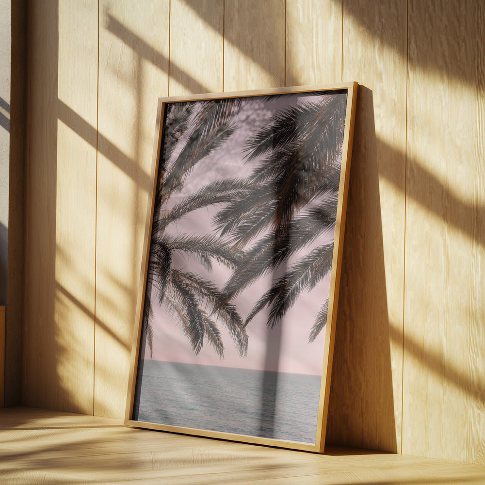 Palm_011 | Poster