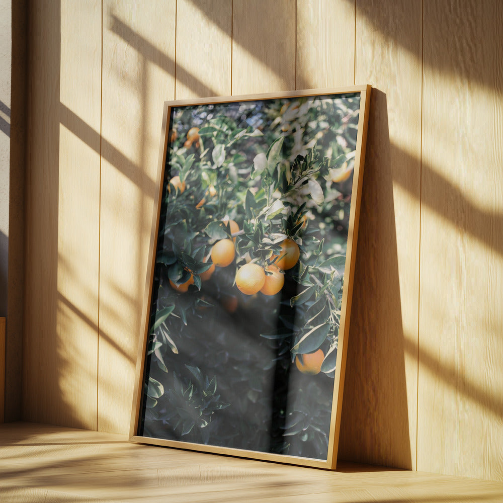 Oranges de Marrakech | Posters - Affiche Artistique