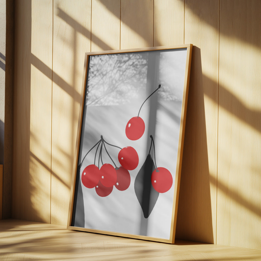 Kirsikat | Julisteet - Taidevedokset