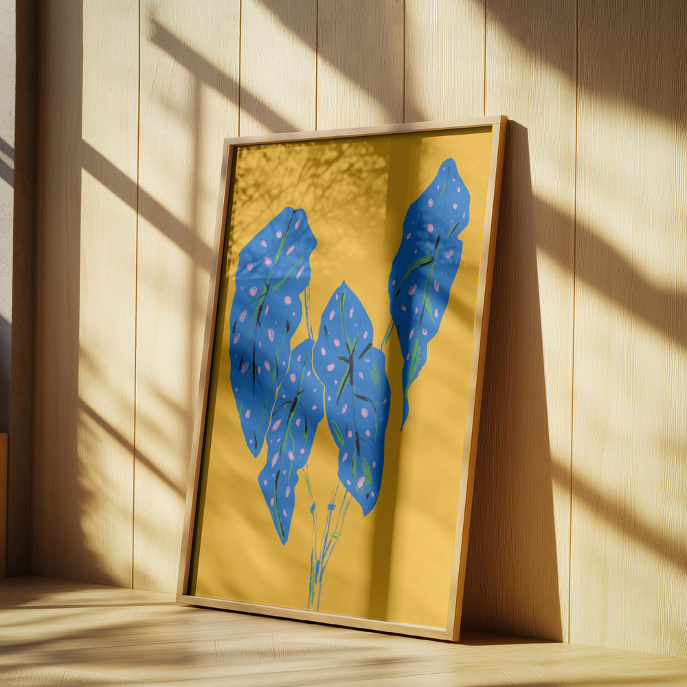Begonia Maculata Blue and Yellow | Poster
