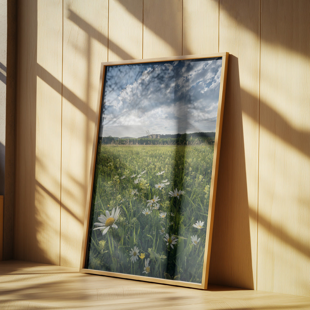 Kukinta Niitty | Julisteet - Taidevedokset