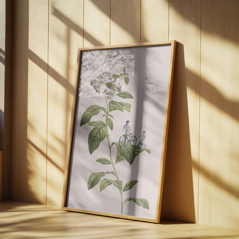 Botanisches Radfahren | Poster