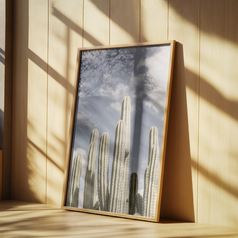 Wüstenkathedrale Nr. 2 | Poster