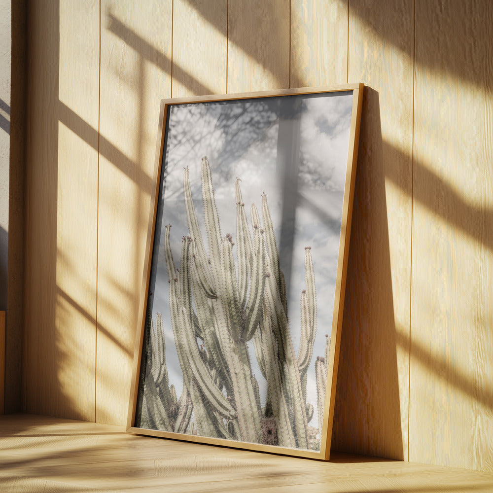 Wüstenkathedrale | Poster