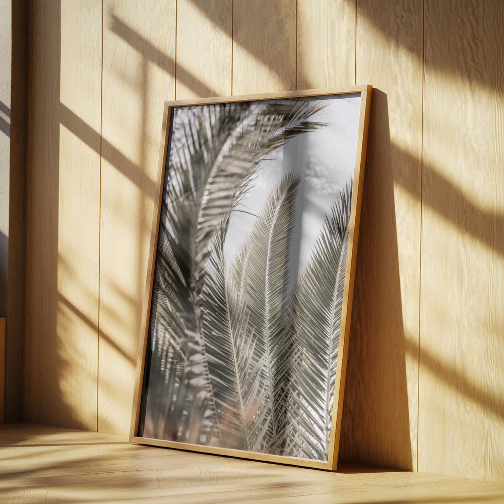 Palmengeflüster | Poster
