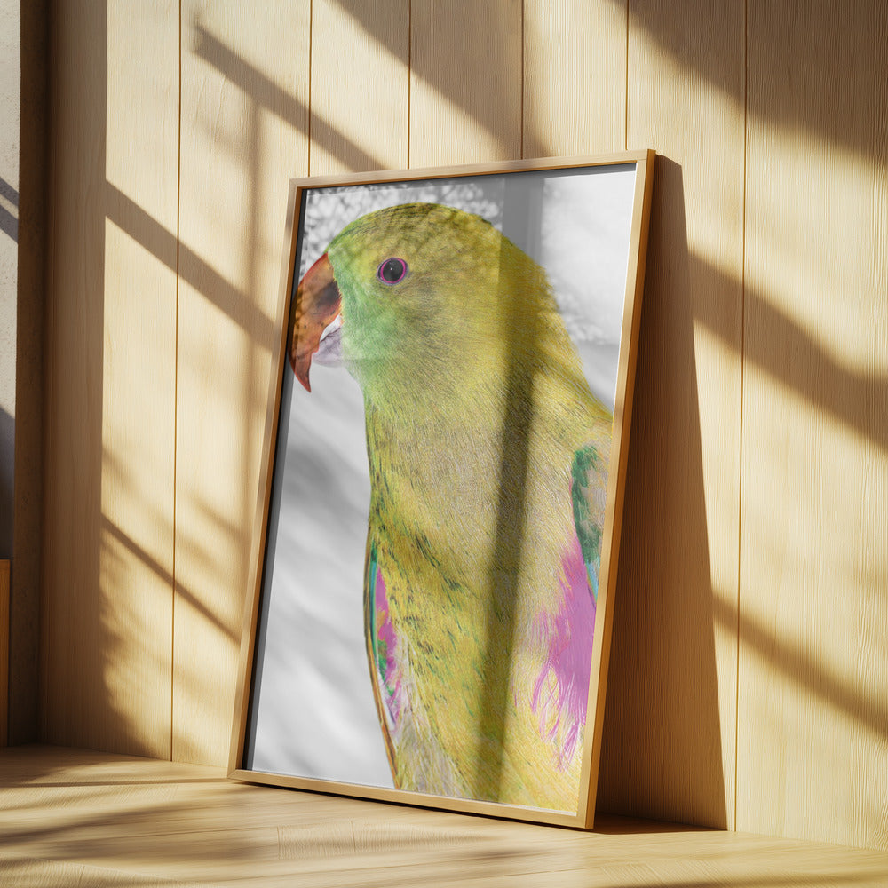 Lebendiges Papageienprofil | Poster