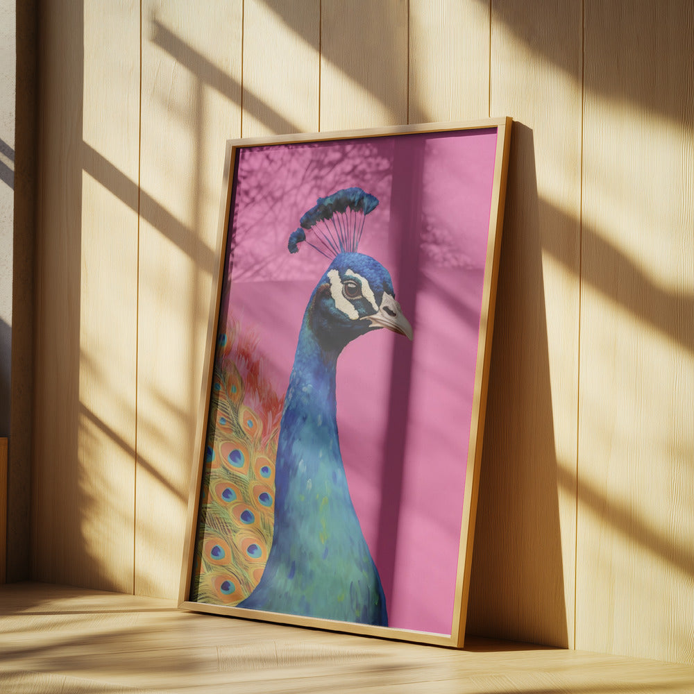 Wunderschöner Pfau | Poster