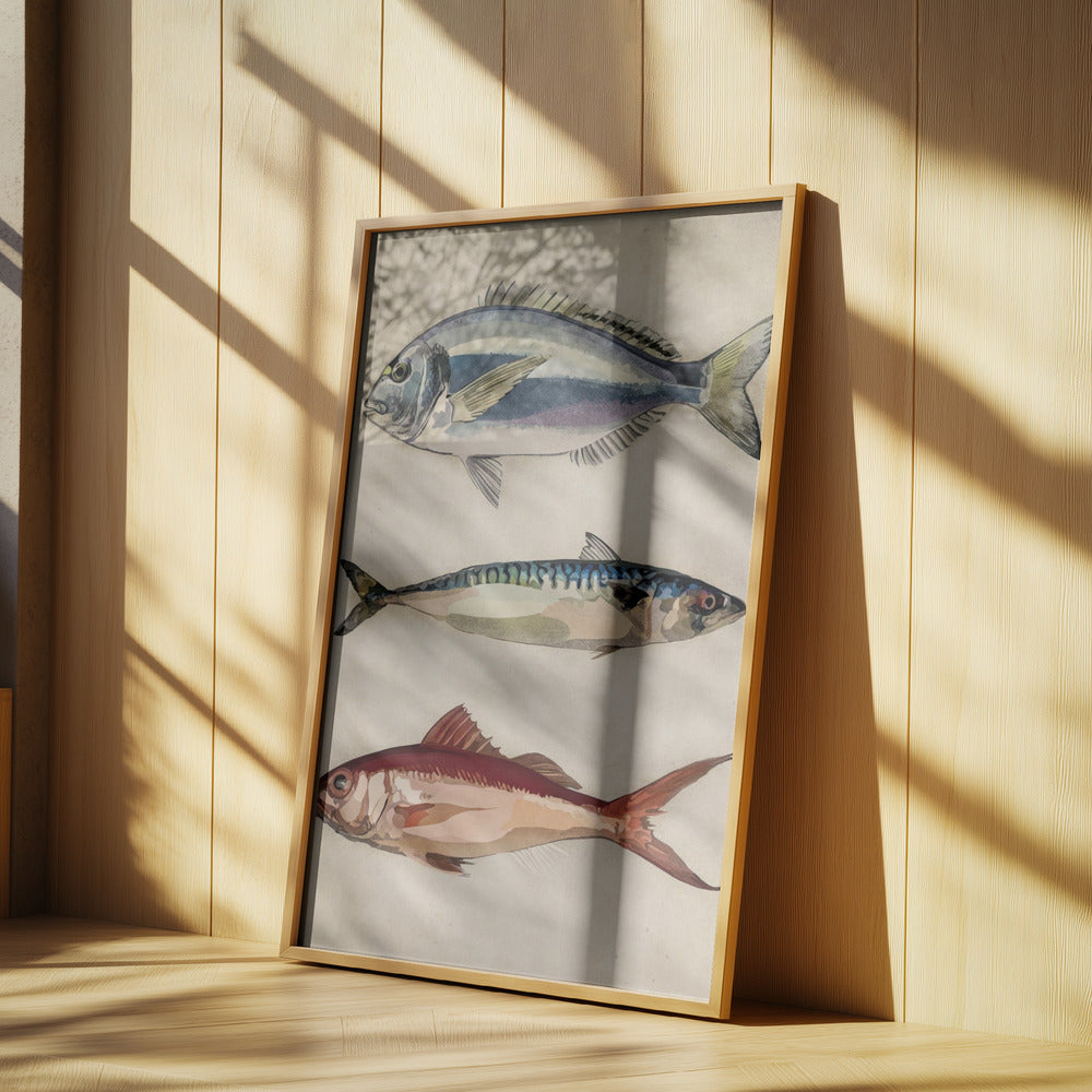 01 Deniz Baliklari Copy | Affisch