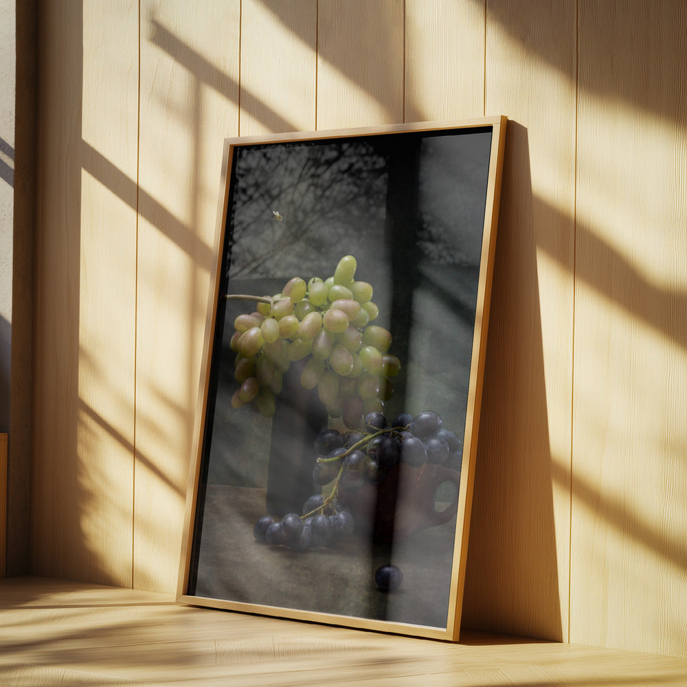 Asetelma viinirypäleillä ja mehiläisellä | Julisteet - Taidevedokset