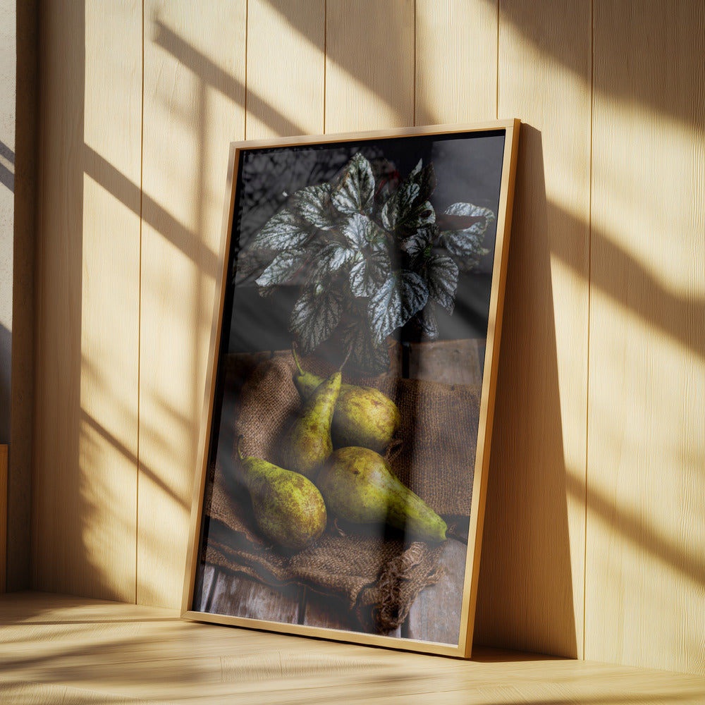 päärynät | Julisteet - Taidevedokset